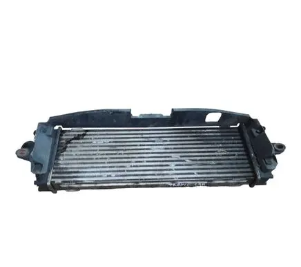 Renault Trafic II (X83) Intercooler radiator 8200411160 93854162 IA1422