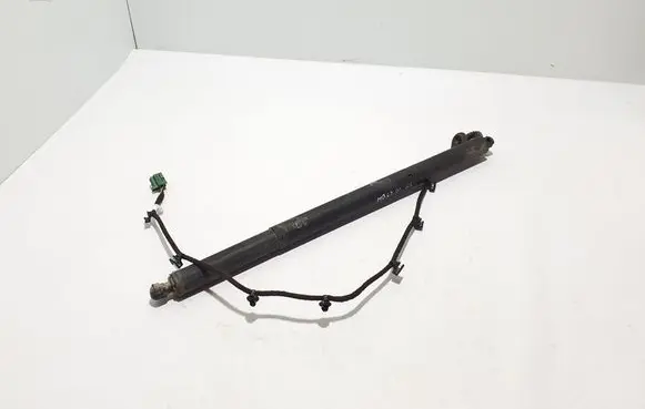 Tailgate strut