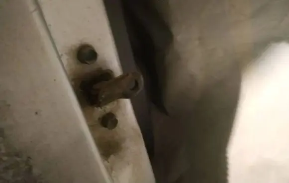 Front door check strap stopper