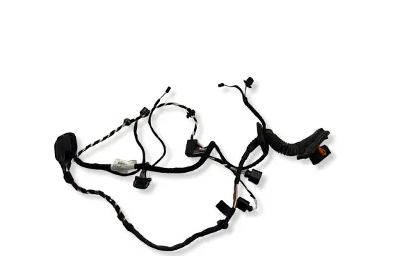 Volkswagen PASSAT CC Rear door wiring loom 3C8971694DT