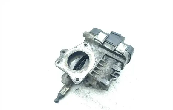 Fiat Doblo Throttle valve 55229467
