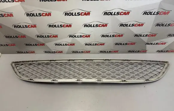 BMW X6 E71 Front bumper lower grill 51117176282