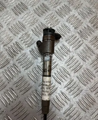 Hyundai Santa Fe Fuel injector 338002F610