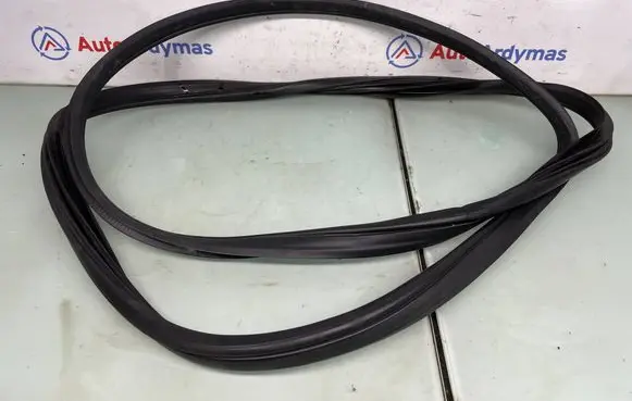 BMW X5 E70 Front door rubber seal 7220381 51767220381