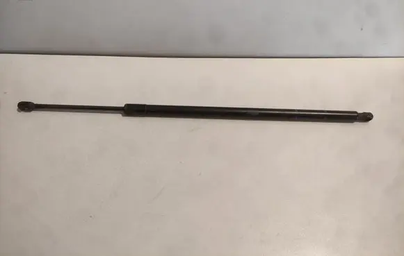 Tailgate strut