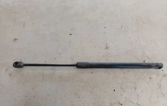 Tailgate/trunk strut/damper