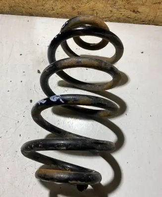 Rear coil spring