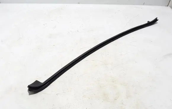 Chrysler Pacifica Rubber seal sliding door (on door) 68188722AC