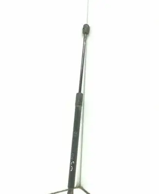 Tailgate strut