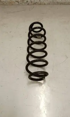 Rear coil spring