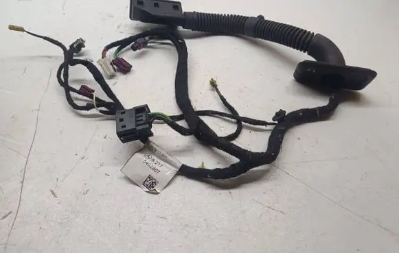 Mercedes-Benz S C217 Front door wiring loom A2175402807 5402807 A217