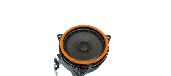 Front door speaker