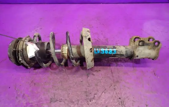 Opel Zafira A Front shock absorber with coil spring 244434749