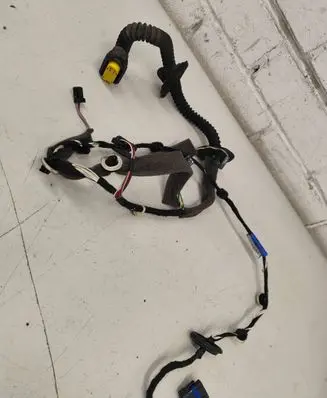 Renault Laguna III Rear door wiring loom 241261967R 00174550