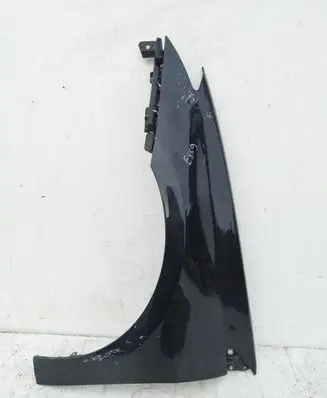 Renault Laguna III Fender