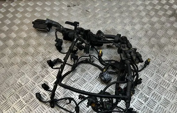 BMW X1 F48 F49 Engine installation wiring loom 