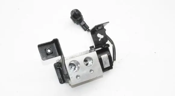 Nissan Leaf II (ZE1) Air conditioning (A/C) expansion valve 4433101360