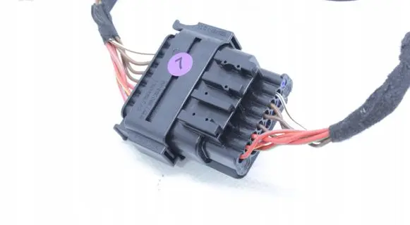 Other wiring loom