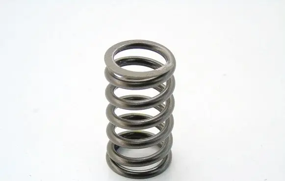 Opel Insignia B Valve spring 