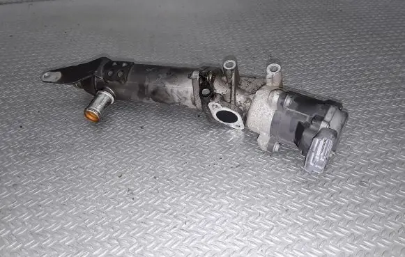 EGR valve