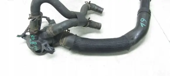 Thermostat/thermostat housing