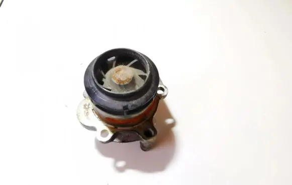 Volkswagen PASSAT B5 Water pump 038c 038121031f