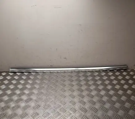 Tesla Model 3 Rear door trim (molding) 108074600F