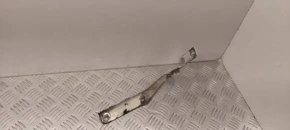 Citroen Berlingo Engine bonnet/hood hinges