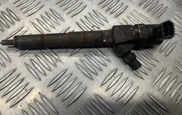 Opel Signum Fuel injector 0445110159