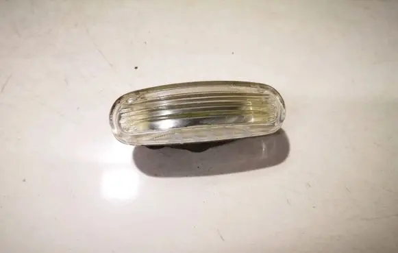Front fender indicator light