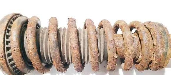 Jaguar S-Type Rear coil spring