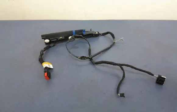 Ford Mustang VI Other wiring loom FR3T-14B242-CE