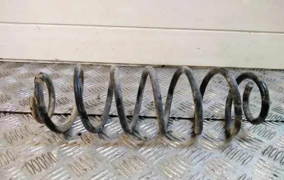 Seat Leon (1M) Rear coil spring