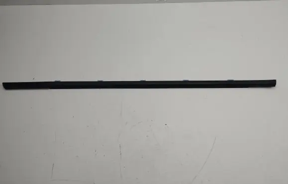 KIA Niro Rear door glass trim molding