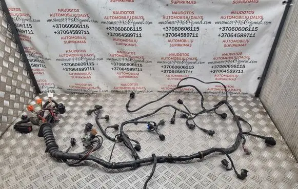 Engine installation wiring loom