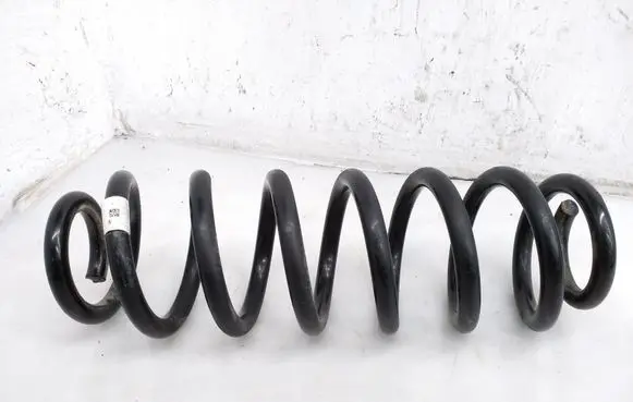 Rear coil spring