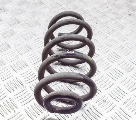 Renault Zoe Rear coil spring