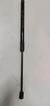 Tailgate strut