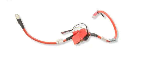 BMW 3 F30 F35 F31 Positive cable (battery) 9270244 61129270244 9270245