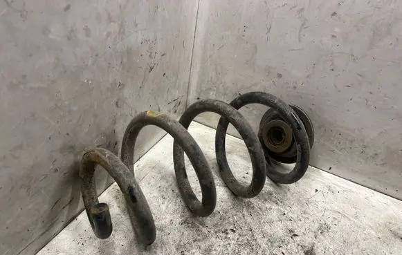 Nissan X-Trail T31 Rear coil spring