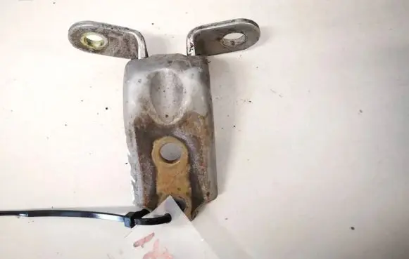 Hyundai Sonata Rear door lower hinge