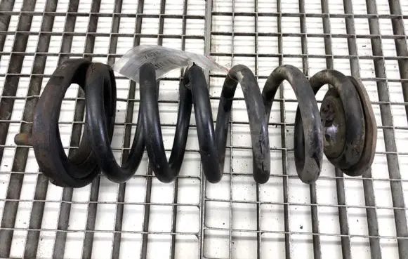 Rear coil spring