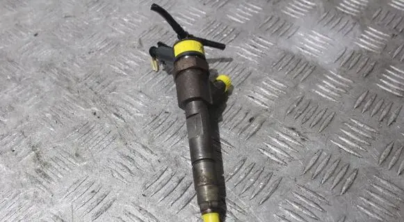 Renault Megane II Fuel injector 