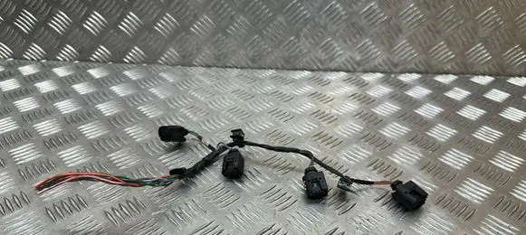Renault Megane III Fuel injector wires 