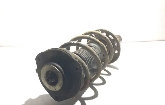 Volkswagen Tiguan Front shock absorber with coil spring 5N0413031K
