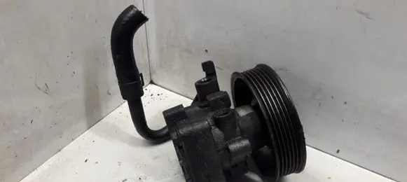 Hyundai Santa Fe Power steering pump