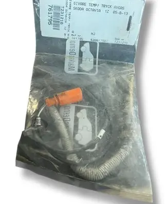 Skoda Octavia Mk3 (5E) Exhaust gas temperature sensor 