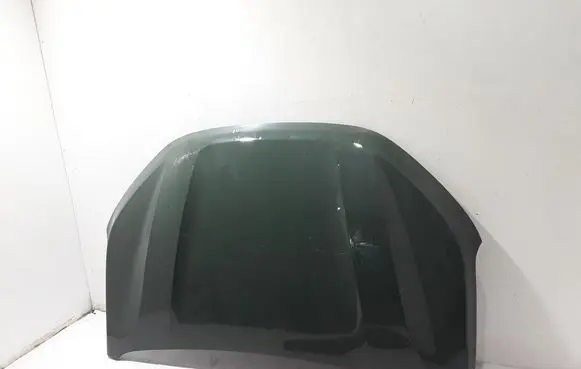 Dacia Sandero III Engine bonnet/hood 651224904R