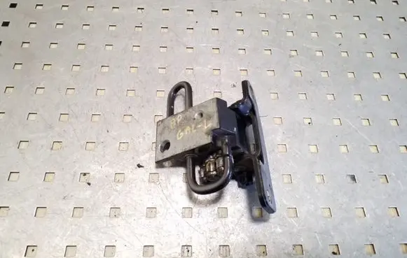Volkswagen Phaeton Rear door lower hinge 3D4833411C
