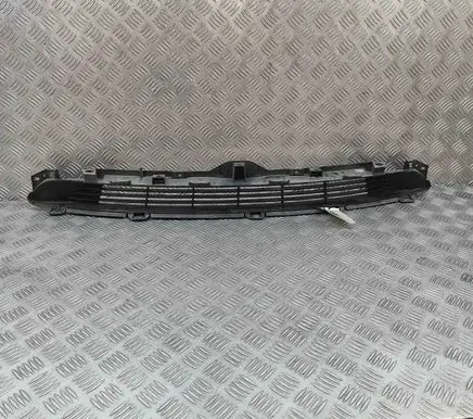 Tesla Model 3 Front grill 108592700C